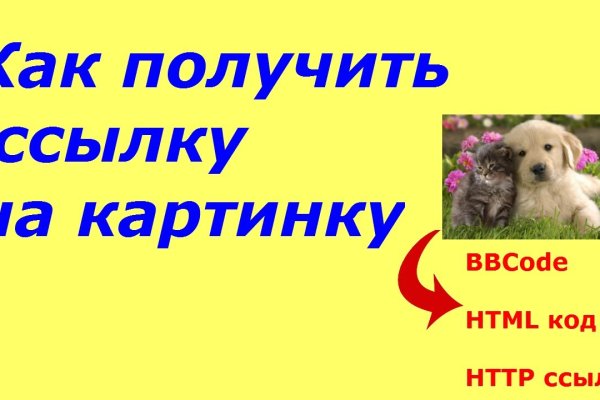 Почему не работает кракен