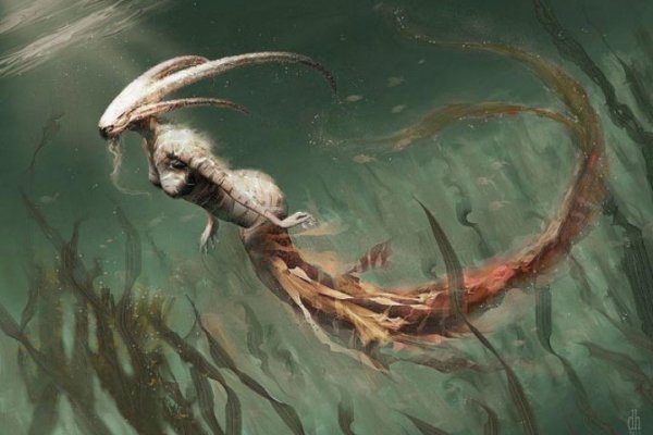 Кракен онион тор